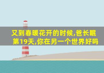 又到春暖花开的时候,爸长眠第19天,你在另一个世界好吗