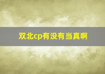 双北cp有没有当真啊