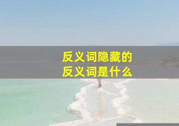 反义词隐藏的反义词是什么