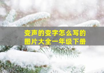 变声的变字怎么写的图片大全一年级下册