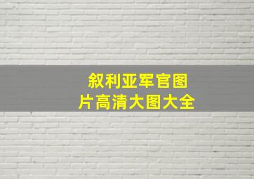 叙利亚军官图片高清大图大全