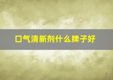 口气清新剂什么牌子好