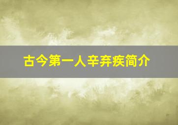 古今第一人辛弃疾简介