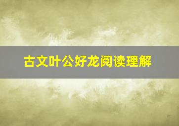 古文叶公好龙阅读理解