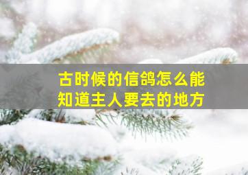 古时候的信鸽怎么能知道主人要去的地方