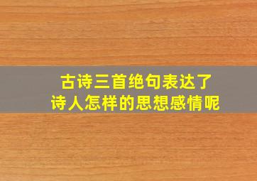 古诗三首绝句表达了诗人怎样的思想感情呢