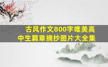 古风作文800字唯美高中生篇章摘抄图片大全集