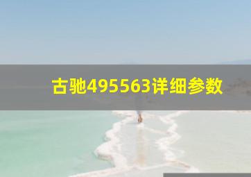 古驰495563详细参数