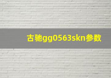 古驰gg0563skn参数