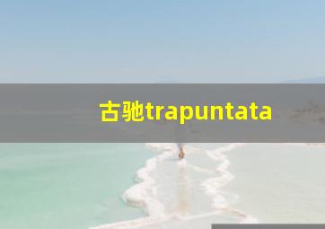 古驰trapuntata