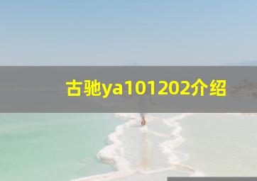 古驰ya101202介绍