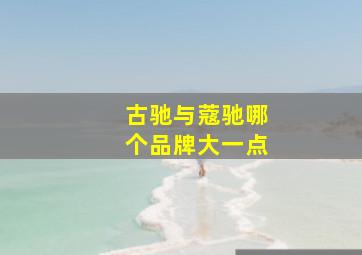 古驰与蔻驰哪个品牌大一点