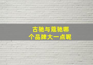 古驰与蔻驰哪个品牌大一点呢