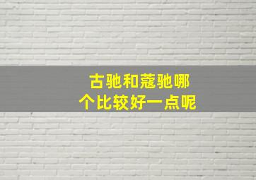 古驰和蔻驰哪个比较好一点呢