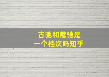 古驰和蔻驰是一个档次吗知乎