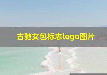 古驰女包标志logo图片