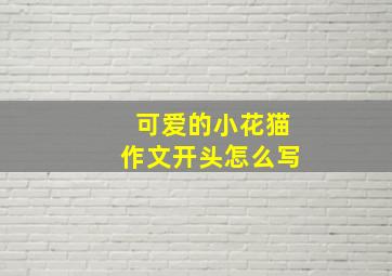 可爱的小花猫作文开头怎么写