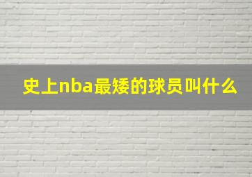 史上nba最矮的球员叫什么