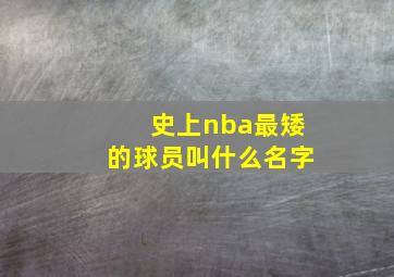 史上nba最矮的球员叫什么名字