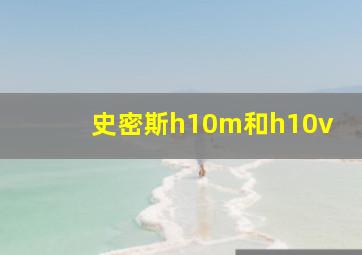 史密斯h10m和h10v