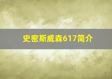 史密斯威森617简介