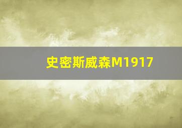 史密斯威森M1917