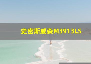 史密斯威森M3913LS