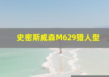 史密斯威森M629猎人型