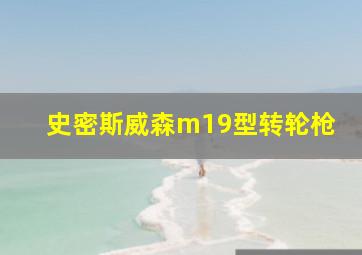 史密斯威森m19型转轮枪