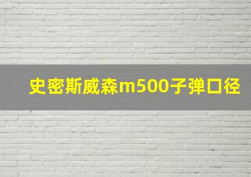 史密斯威森m500子弹口径