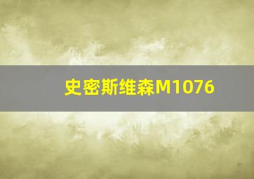 史密斯维森M1076