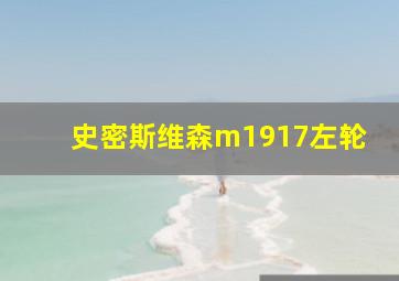 史密斯维森m1917左轮