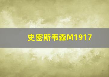 史密斯韦森M1917