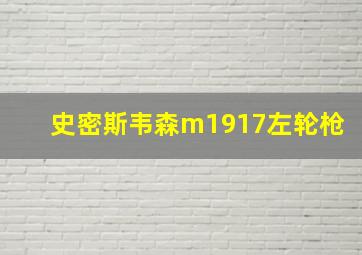 史密斯韦森m1917左轮枪