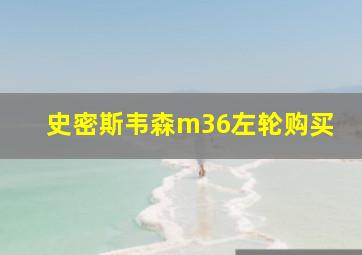 史密斯韦森m36左轮购买