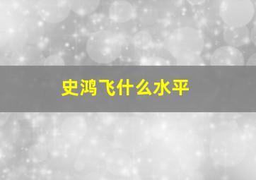 史鸿飞什么水平