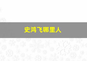 史鸿飞哪里人