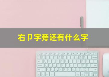 右卩字旁还有什么字