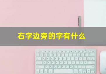 右字边旁的字有什么