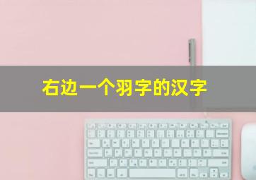 右边一个羽字的汉字