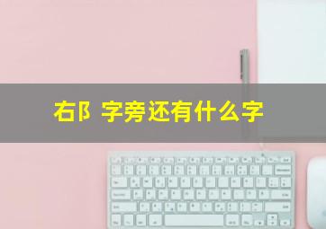 右阝字旁还有什么字