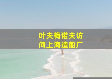 叶夫梅诺夫访问上海造船厂