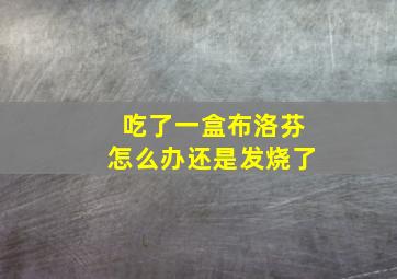 吃了一盒布洛芬怎么办还是发烧了