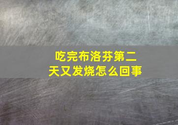 吃完布洛芬第二天又发烧怎么回事