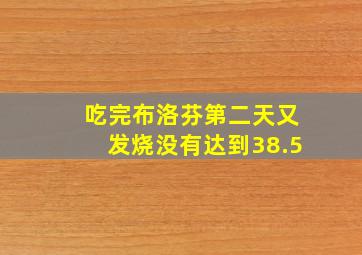 吃完布洛芬第二天又发烧没有达到38.5