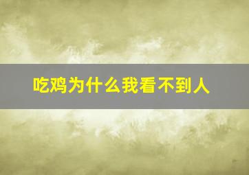 吃鸡为什么我看不到人