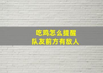 吃鸡怎么提醒队友前方有敌人