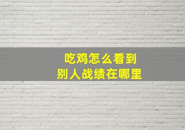 吃鸡怎么看到别人战绩在哪里