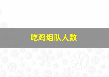 吃鸡组队人数