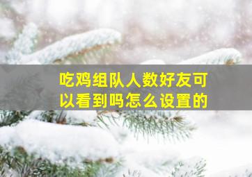 吃鸡组队人数好友可以看到吗怎么设置的